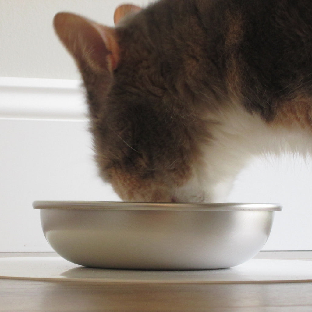 Close-up of a cat eating out of a single Basis Pet stainless steel cat bowl, which has been placed on a non-skid rubber mat.