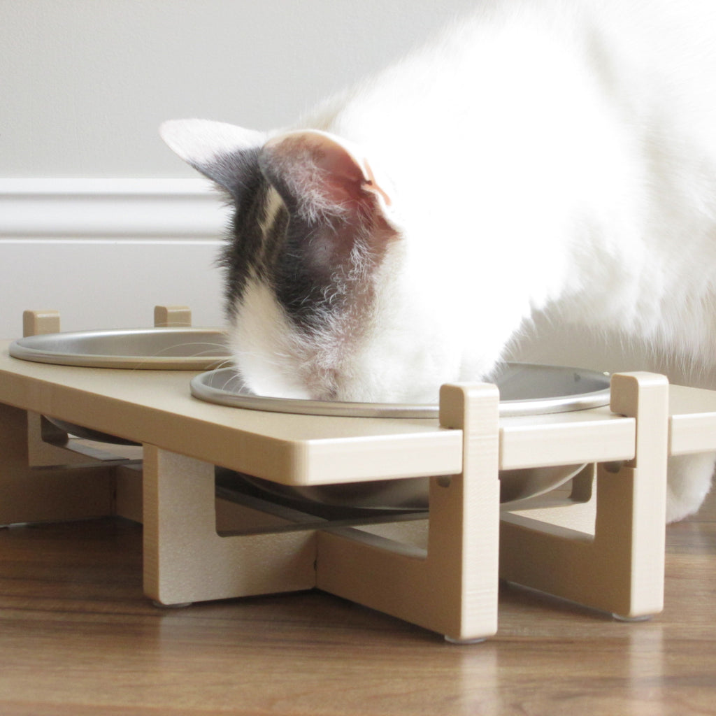 Close-up of a white cat eating from a double bowl Rise Pet Bowl Stand for small dog bowls / cat bowls. Shown at a side angle.