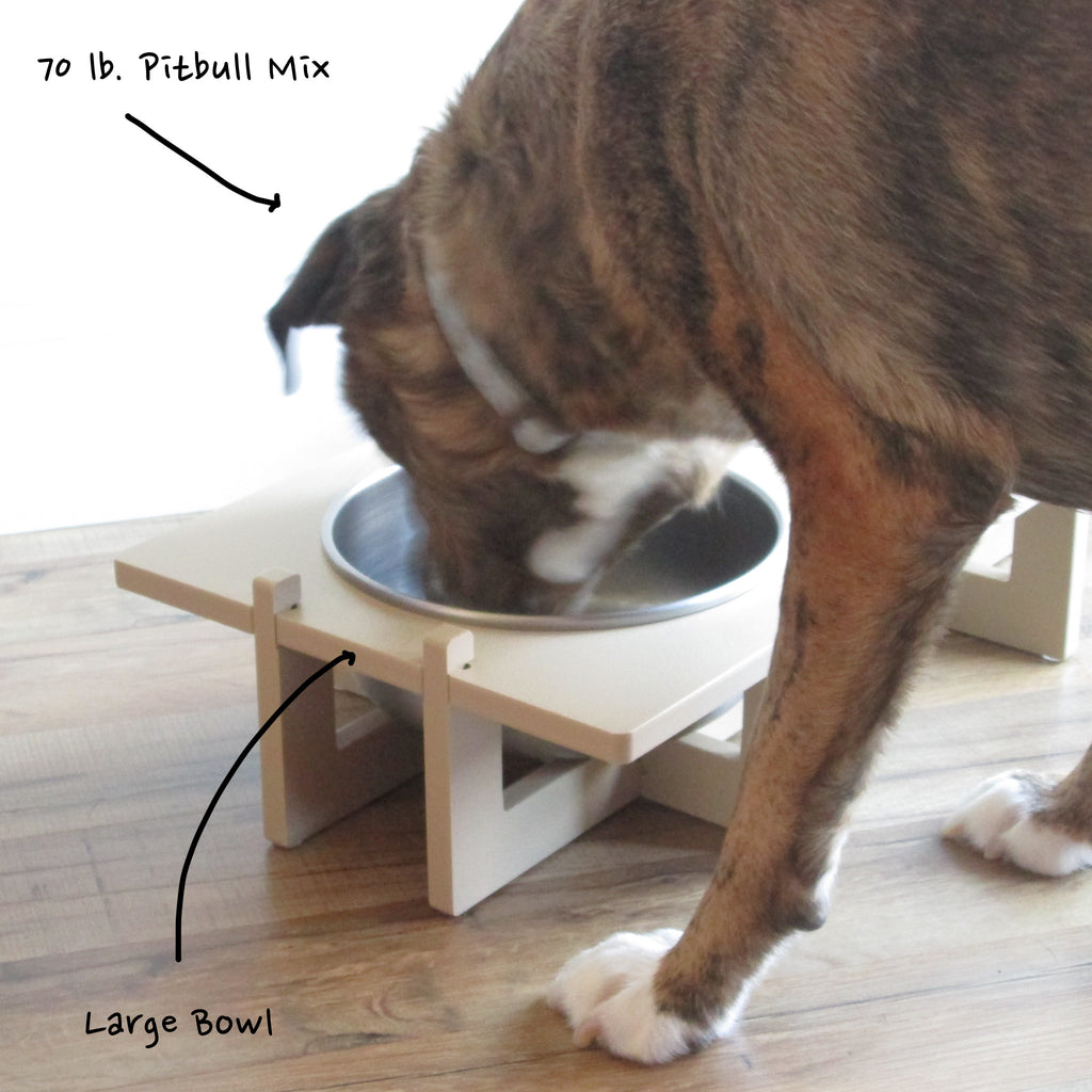 A closeup of a dog eating from a Rise Pet Bowl Stand. Text reads "70 pound Pitbull mix" and "large bowl".