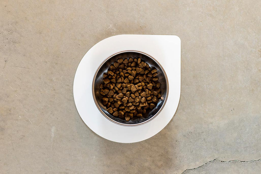 Looking down on a small stainless steel dog bowl containing kibble on an Ultra Grip Pet Bowl mat on a concrete floor.