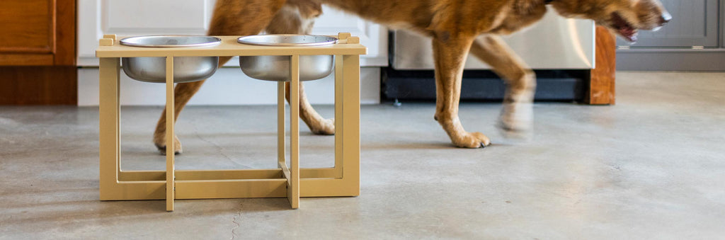 A Rise Pet Bowl Stand for large bowls, high rise height in the foreground with a dog passing by in the background.