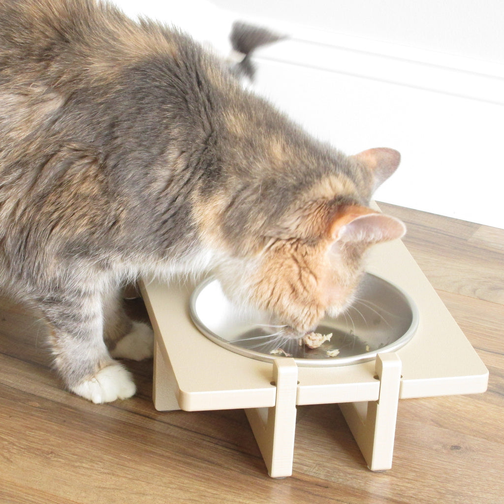 Close-up of a multi-colored cat eating from a double bowl Rise Pet Bowl Stand for small dog bowls / cat bowls. Shown at a downward angle.